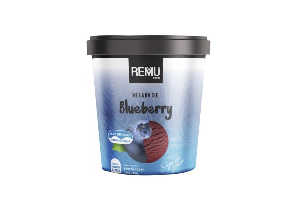 Helado Vegano Blueberry