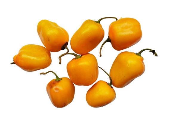 aji-rocoto-amarillo-remu