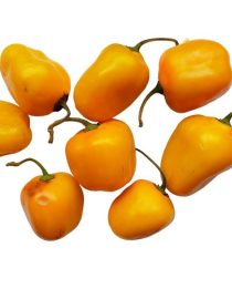 aji-rocoto-amarillo-remu