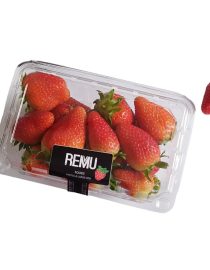 frutilla-tarrina-500g-remu