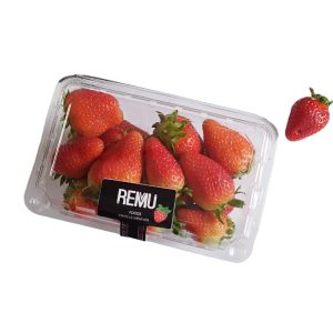 frutilla-tarrina-500g-remu