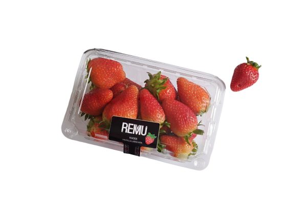 frutilla-tarrina-500g-remu