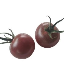 tomate cherry negro