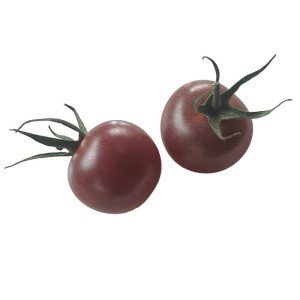 tomate cherry negro