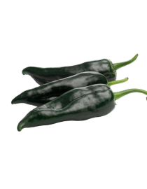 Chile poblano