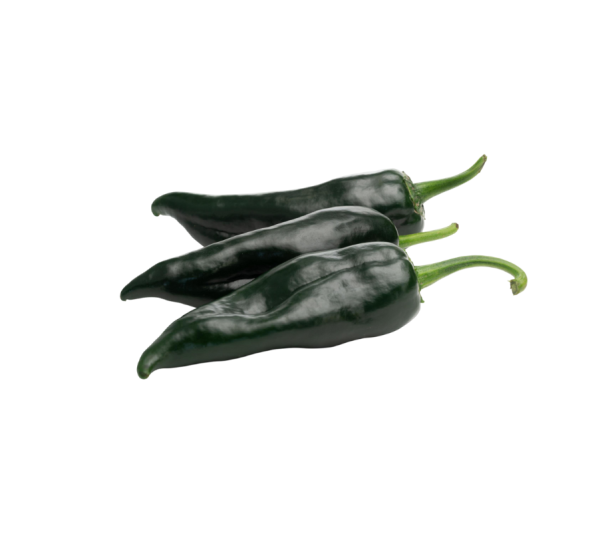 Chile poblano